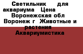 Светильник LED для аквариума › Цена ­ 5 000 - Воронежская обл., Воронеж г. Животные и растения » Аквариумистика   